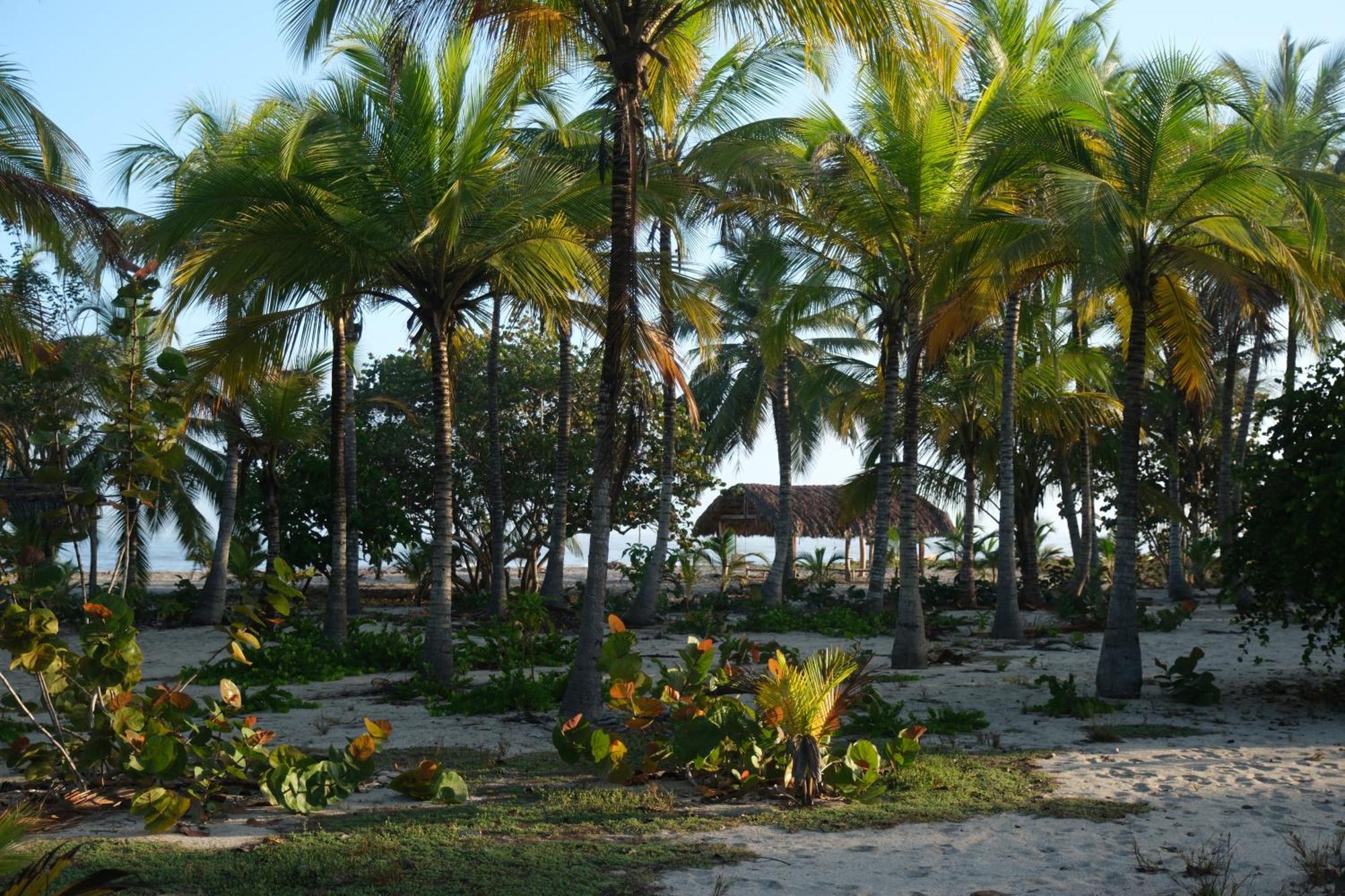 Hotel Playa Bonita Tayrona Бурітака Екстер'єр фото