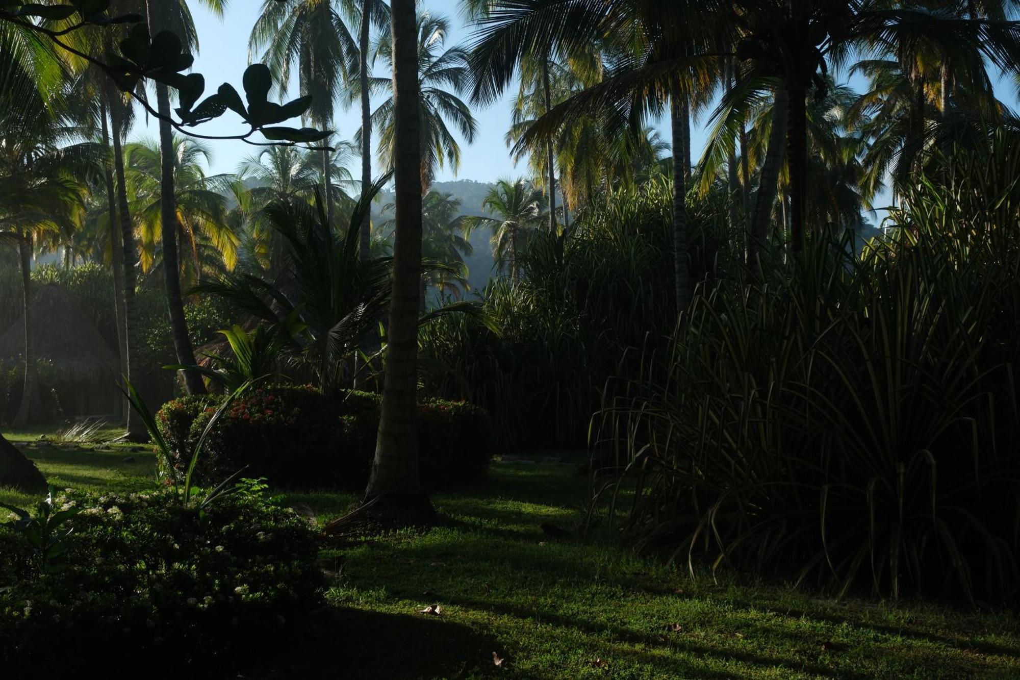 Hotel Playa Bonita Tayrona Бурітака Екстер'єр фото